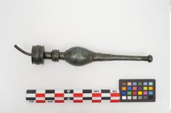 Foto von Bronzenadelspitzenschoner (NHMW-PRAE-026597)